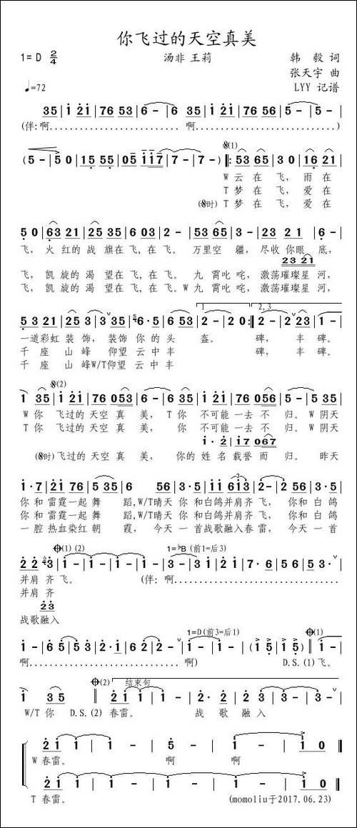 你飞过的天空真美