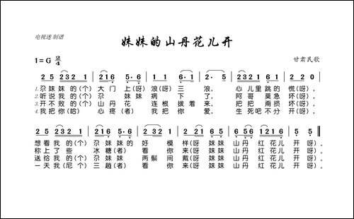 妹妹的山丹花儿开