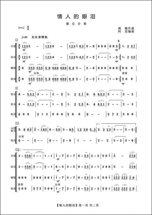情人的眼泪-器乐合奏