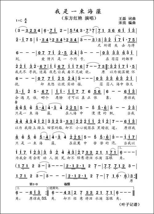 我是一束海藻