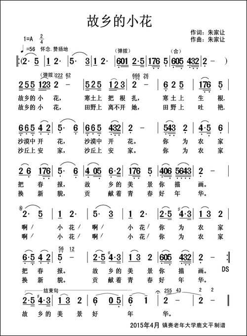 故乡的小花