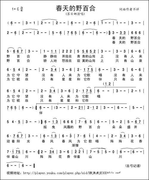春天的野百合