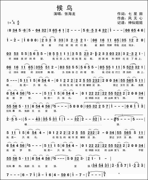 候鸟-张海龙演唱版