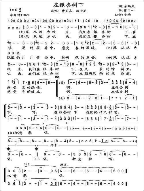 在银杏树下