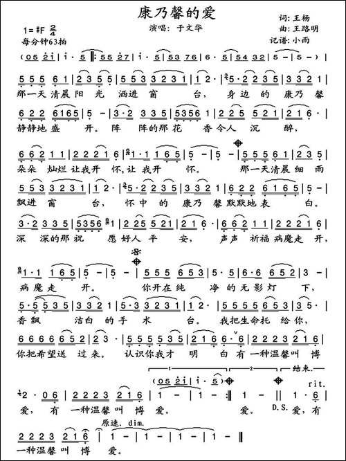 康乃馨的爱