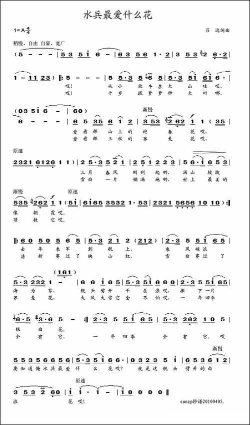 水兵最爱什么花