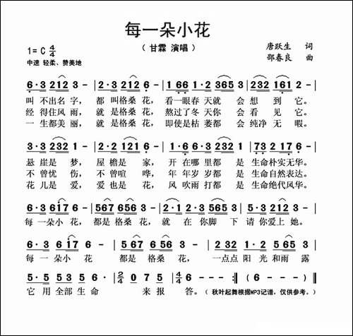 每一朵小花