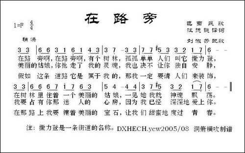 [巴西]在路旁