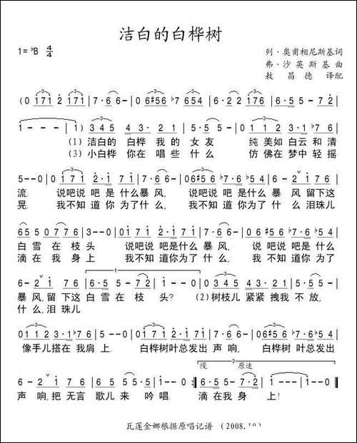洁白的白桦树-俄