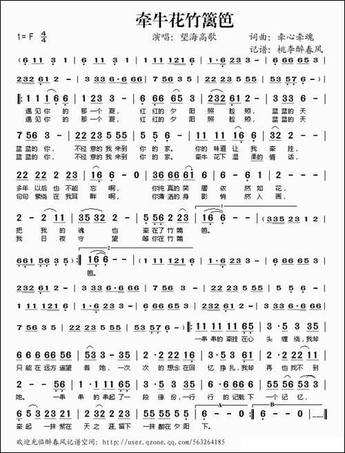 牵牛花竹篱笆
