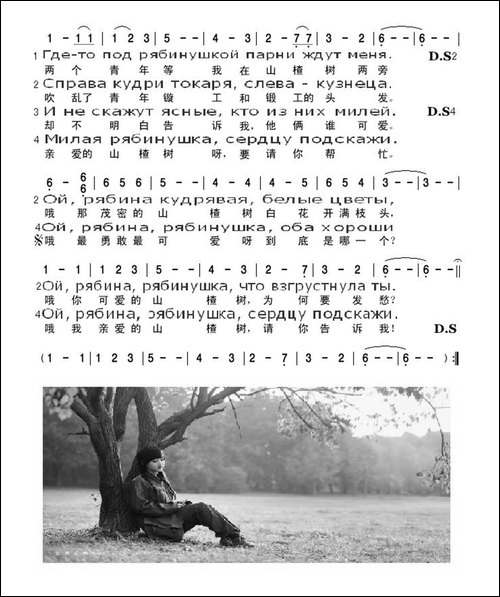 山楂树-双语歌词