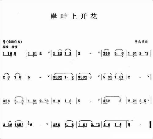 岸畔上开花-葫芦丝谱