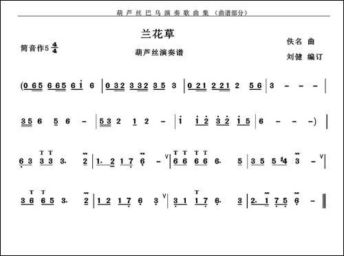 兰花草-葫芦丝谱