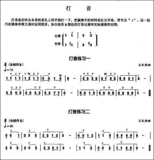 葫芦丝基本技巧练习曲——打音-葫芦丝谱