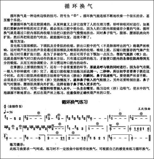 葫芦丝基本技巧练习曲——循环换气-葫芦丝谱