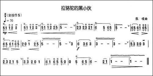 拉骆驼的黑小伙-葫芦丝谱