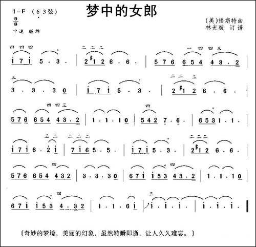 梦中的女郎-胡琴