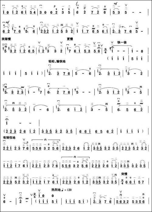 花石变奏曲-胡琴