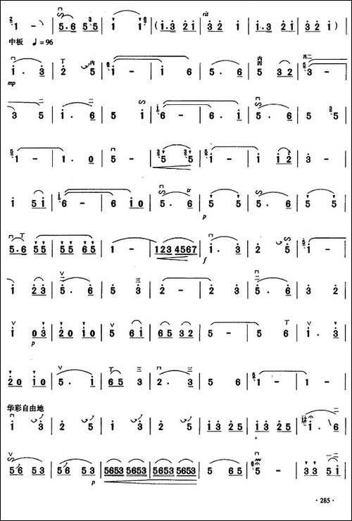 二胡独奏曲选：苍山歌声永不落-胡琴