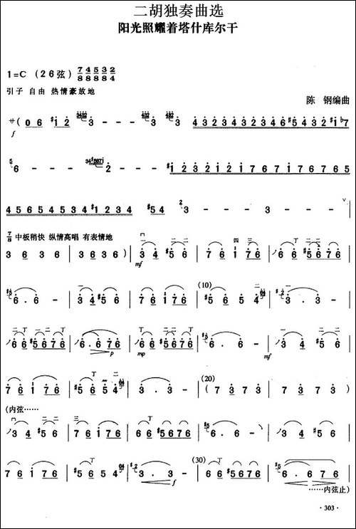 二胡独奏曲选：阳光照耀着塔什库尔干-胡琴
