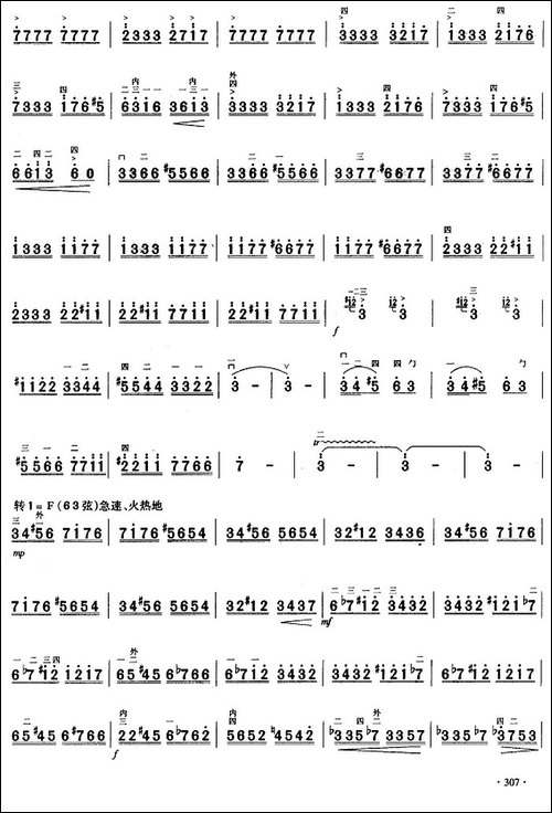 二胡独奏曲选：阳光照耀着塔什库尔干-胡琴