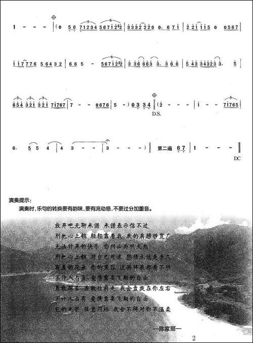 不许占有-胡琴