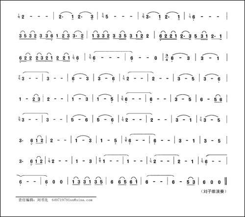 傣风-胡琴