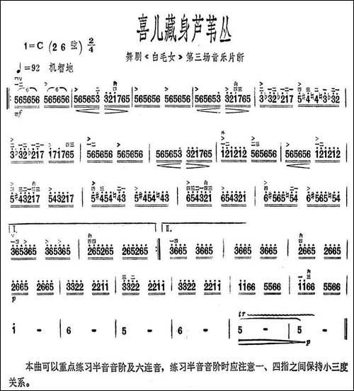 喜儿藏身芦苇丛-舞剧《白毛女》第三场音乐片断-胡琴