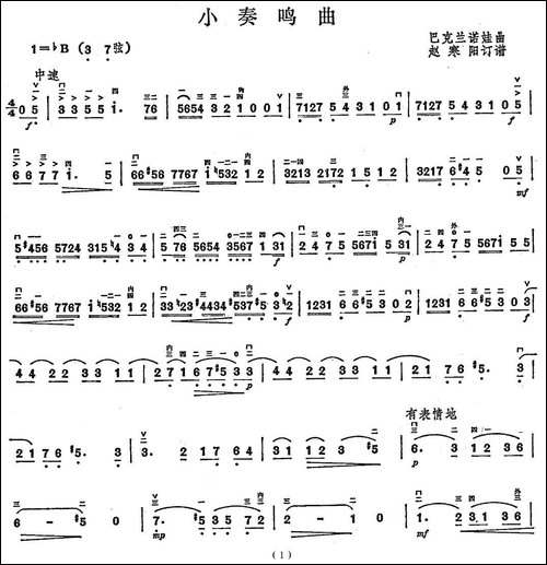 小奏鸣曲-巴克兰诺娃作曲版-胡琴