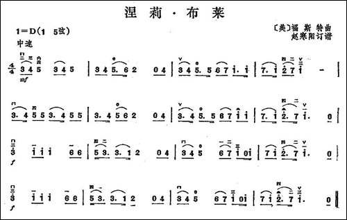 涅莉·布莱-胡琴