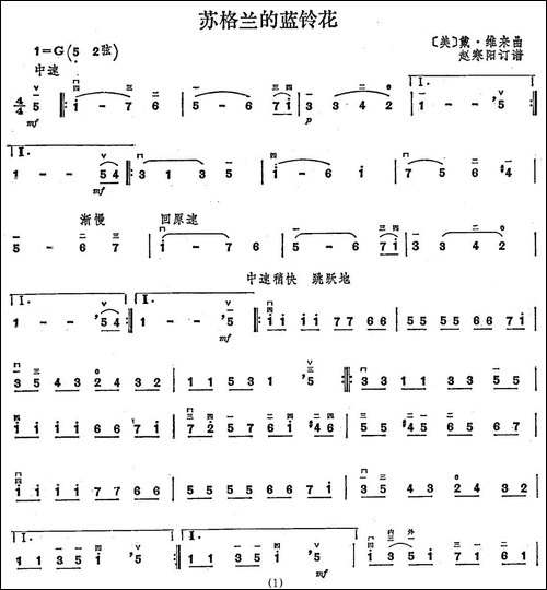 苏格兰的蓝铃花-胡琴