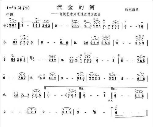 流金的河-电视艺术片《珠江情》选曲-胡琴
