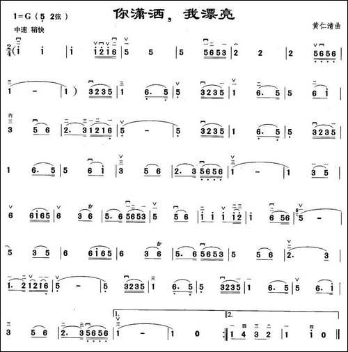 你潇洒，我漂亮-胡琴