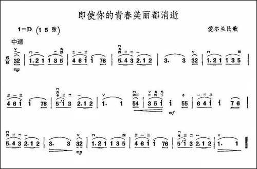 即使你的青春美丽都消失-胡琴
