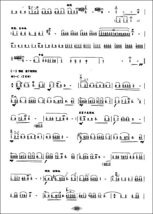 红梅随想曲-胡琴