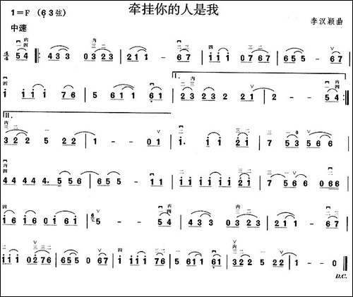 牵挂你的人是我-胡琴
