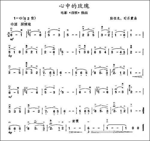 心中的玫瑰-胡琴