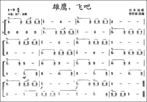 雄鹰，飞吧-二胡二重奏-胡琴