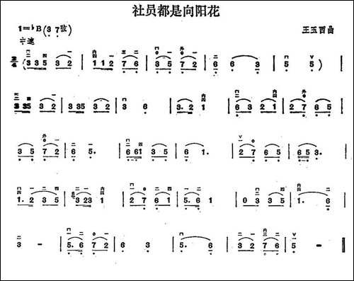 社员都是向阳花-胡琴