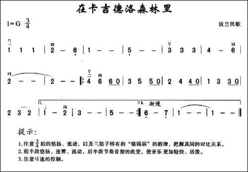 在卡吉德洛森林里--胡琴