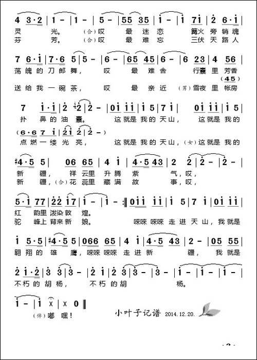 天山红