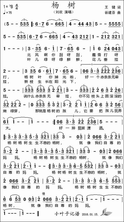杨树