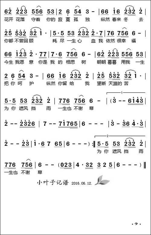 相思树