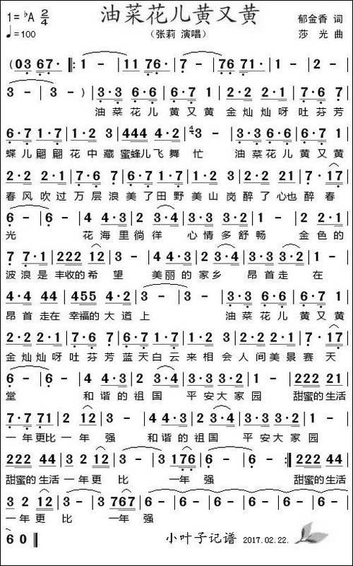 油菜花儿黄又黄