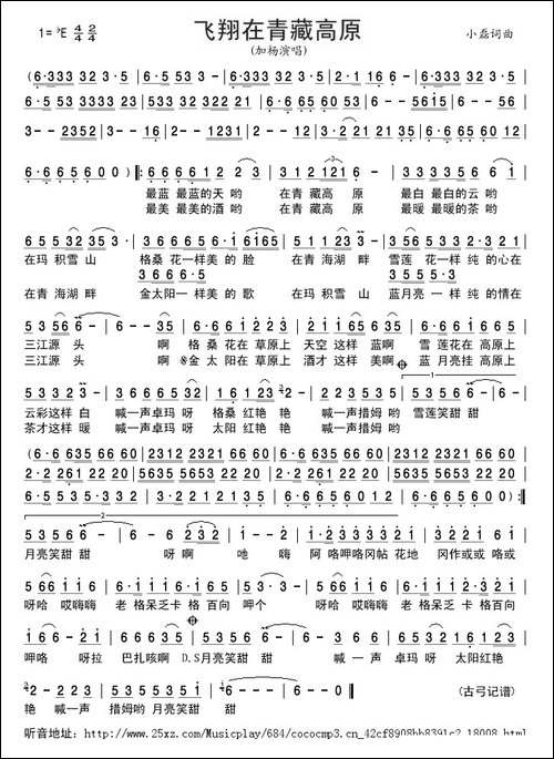 飞翔在青藏高原