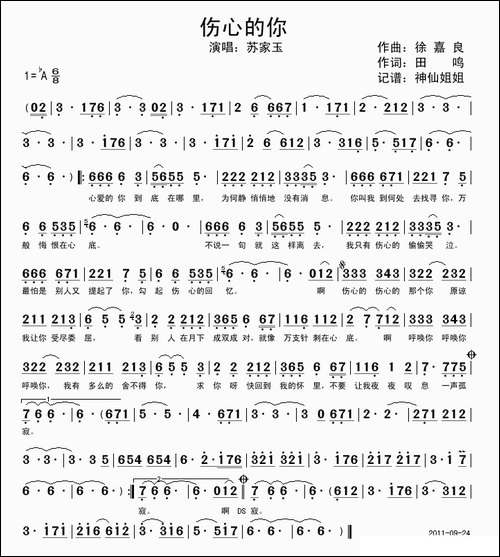 伤心的你-国语演唱版