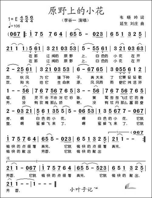 原野上的小花