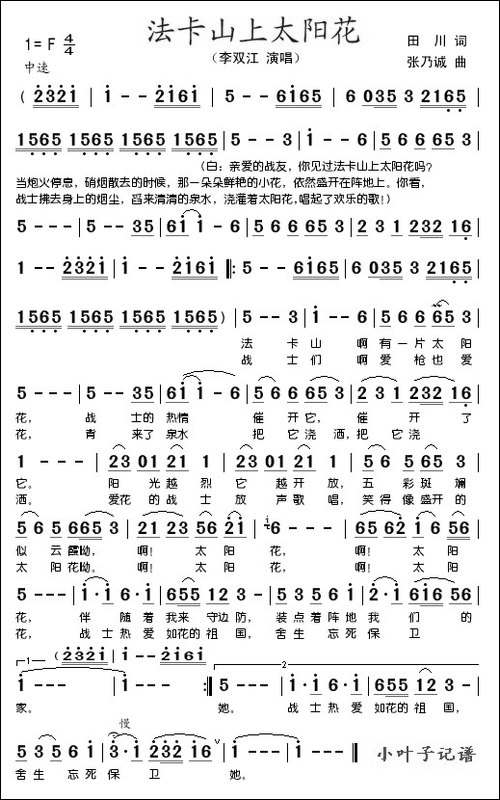 法卡山上太阳花