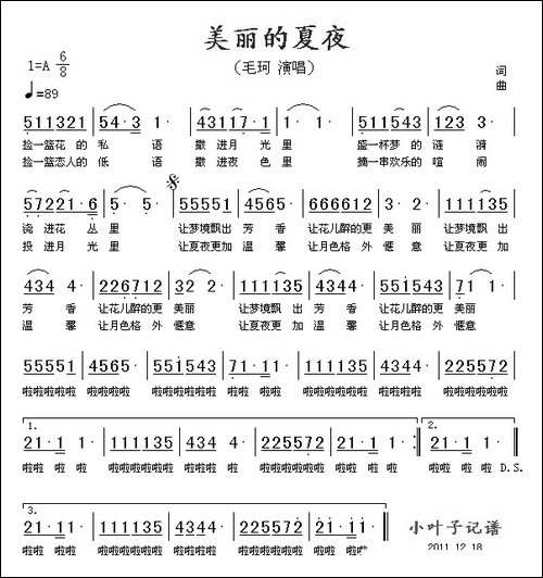 美丽的夏夜