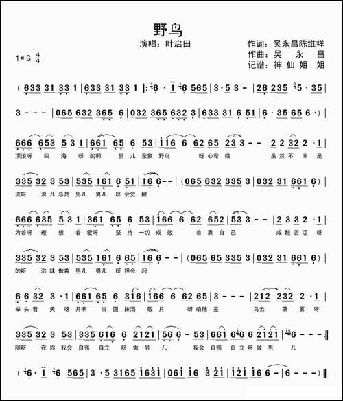 野鸟-闽南语演唱